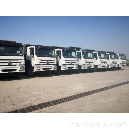 Camion à benne basculante Africa Sino-Truck 371HP